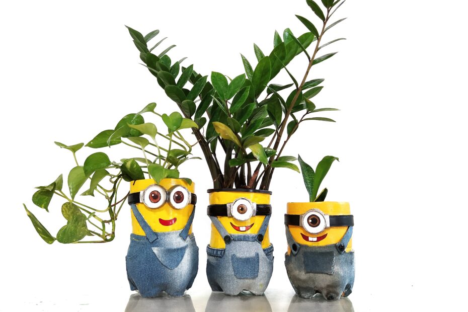 minion planer diy